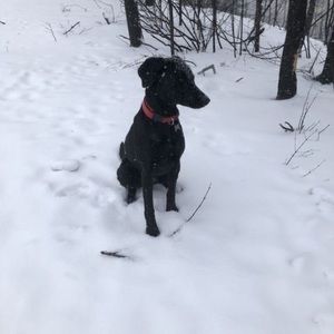 Meet your Posher, Richard